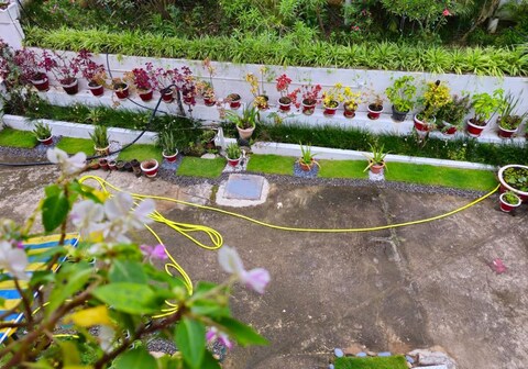 Aimara homestay, Kushalnagar