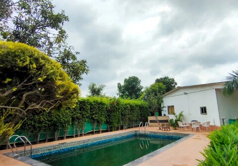 Shaw s A Petite Celebration Paradise by GRB