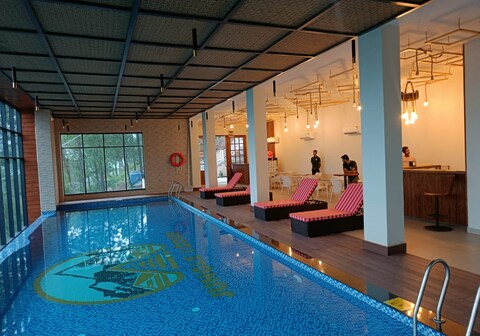 Jungle Lodge Resorts