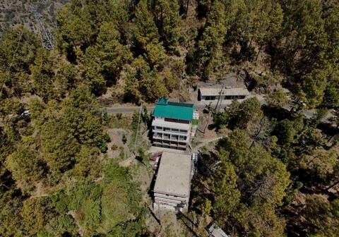 Pine Oak Paradise