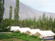 Double Humped Camp - Hunder, Leh Double Humped Camp - Hunder, Leh