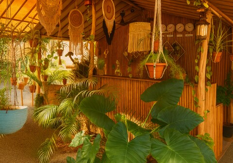 Arambol Bliss Hotel Apartments