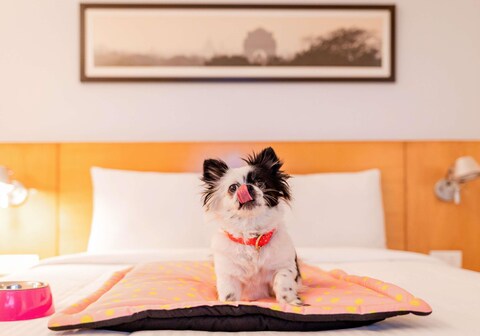 ibis Melun Hotel