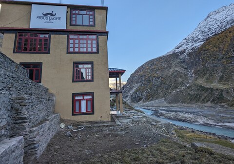 Delist Luxuria Moustache