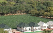 Leopard Nature Camp, Pali Leopard Nature Camp, Pali