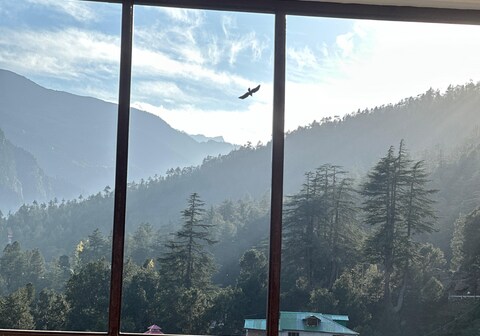 Whistling Pines Homestay