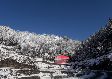 HIMALAYAN CANOPY RESORT