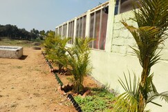 Banyan Tree Restaurant Homestay Hampi, Hospet Banyan Tree Restaurant Homestay Hampi, Hospet