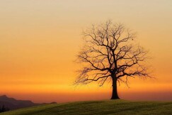 Shree Mahakal Sharnam Home Stay, Ujjain Shree Mahakal Sharnam Home Stay, Ujjain