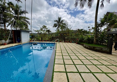 Wild Mist by Lets Inn