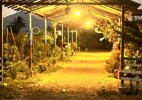The Peepal mud homes
