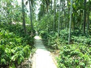 COORG COFFEE ESTATE STAY, Coorg COORG COFFEE ESTATE STAY, Coorg
