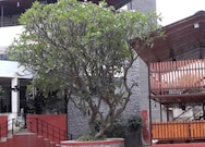 Royal Inn Lodging and boarding., Pune Royal Inn Lodging and boarding., Pune