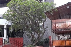 Royal Inn Lodging and boarding., Pune Royal Inn Lodging and boarding., Pune