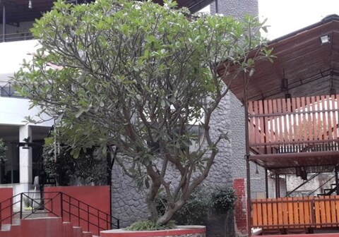 Royal Inn Lodging and boarding.