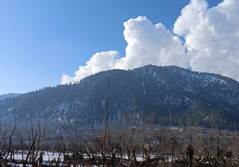 Apple Garden view and restaurant