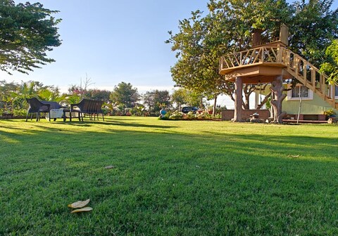 The Enchanting Meadow