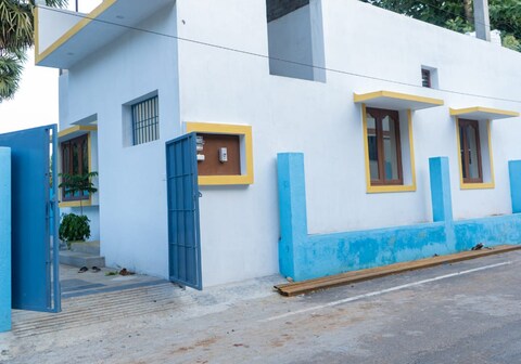 Paradise Palm Tree home Stay