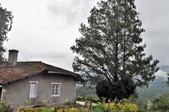Madupatty Lakeview Cottage, Munnar Madupatty Lakeview Cottage, Munnar
