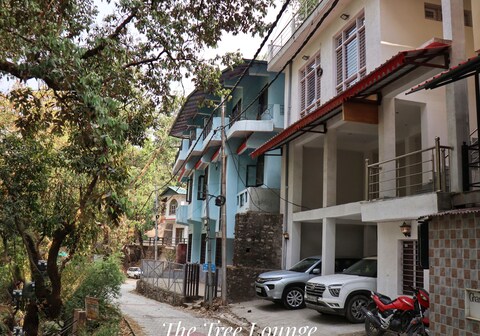 The Tree Lounge Near Lake | Hill View