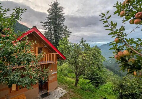 Experiences by Eleven 11 | Jibhi