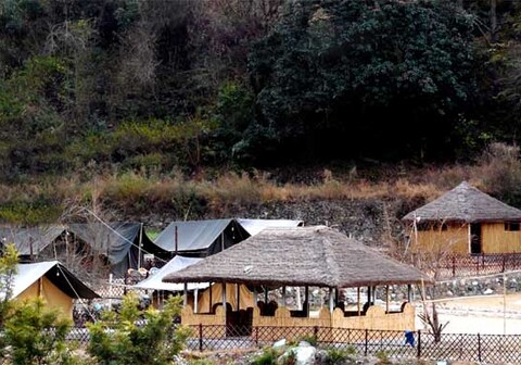 Frog Point Camp Bhowali