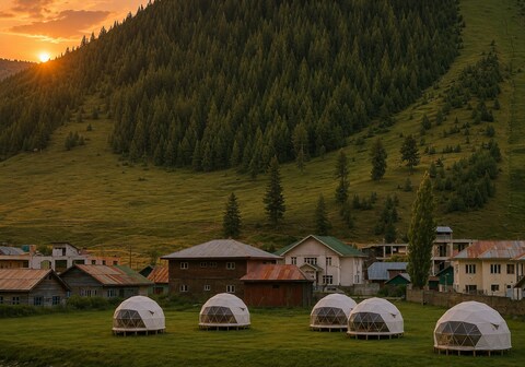 The Cocoon