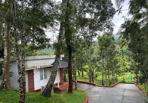 Mahagony by Exuberance Stays