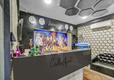 Collection O The Leaf Paradise