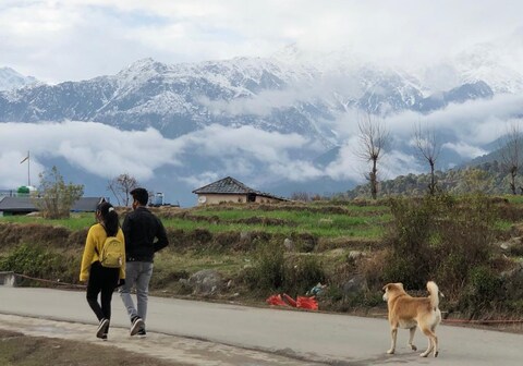 Bir Blues The Moonrise Villa