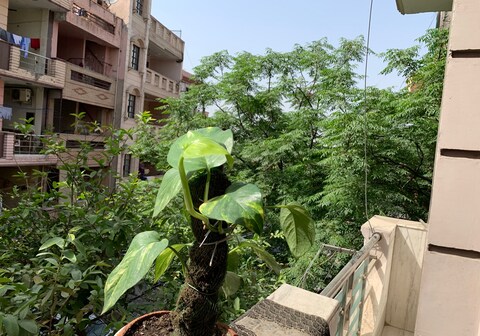 Park View Homestaycations