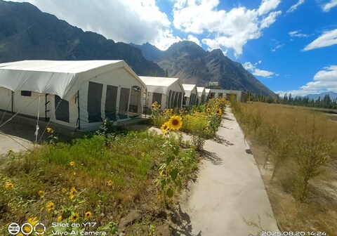 Kayok Camp and Resort