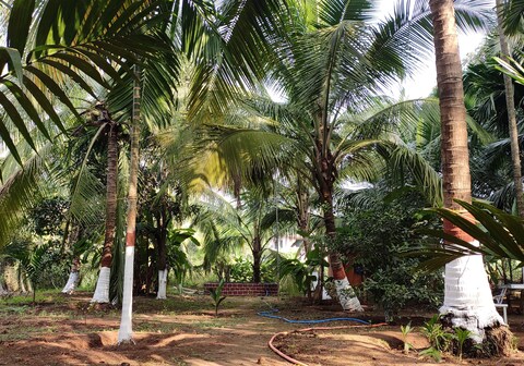 Vanashree cottage , Akshi alibaug (max 15 ppl )