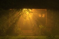 Aranyakam Home Stay, Wayanad Aranyakam Home Stay, Wayanad