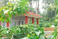 Kotekad Plantation Stay, Coorg Kotekad Plantation Stay, Coorg