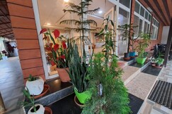 GOOD MORNING RESORTS, Araku Valley GOOD MORNING RESORTS, Araku Valley