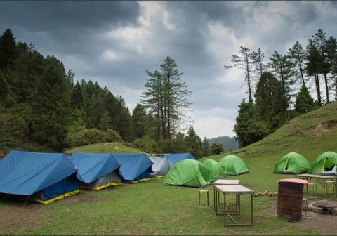 MOUNTY Lake Meadows Camp