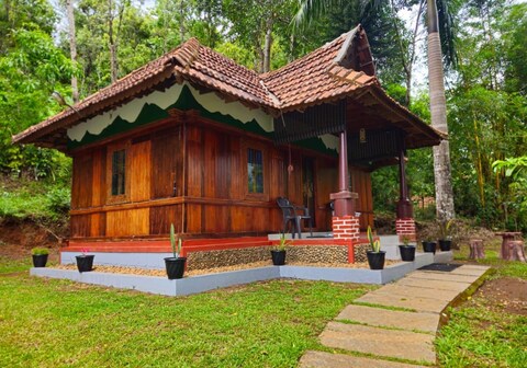 Creek In The Wild Resort