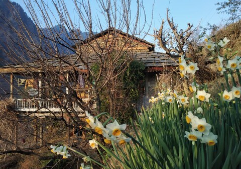 Gypsy Kathkuni House, Kasol