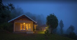 After the rains, Wayanad After the rains, Wayanad