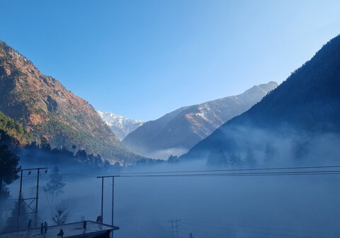 The Mountain Lions Cafe