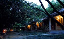 Tiger Camp Resort, Corbett Tiger Camp Resort, Corbett