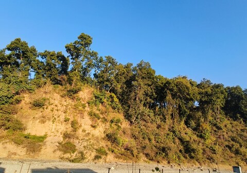 Shivoham Homestay IMA Subharti
