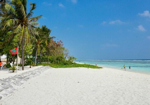 Coconut Tree Hulhuvilla Beach