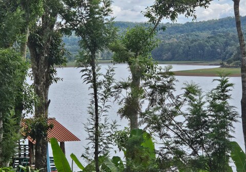 Kote Kadu The Respite