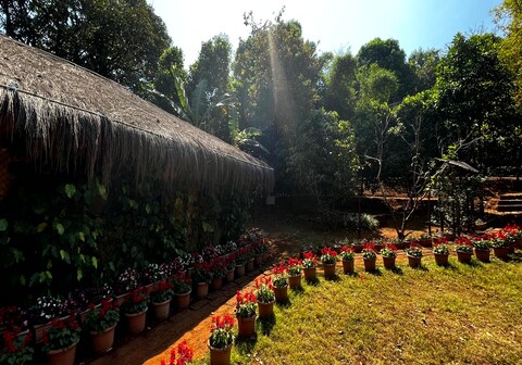 Forest Trails Adventure Resort - Royal Camping Club