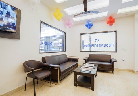 Collection O The Dolphin International