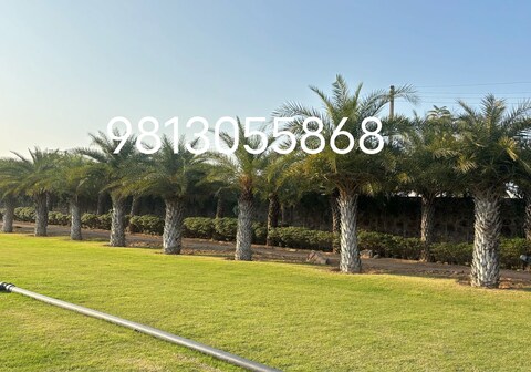 Aravali Hill View Farmhouse