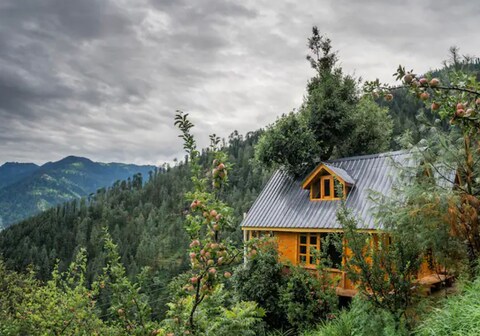 THE TREE HOUSE JIBHI,Swastika Aashiyana