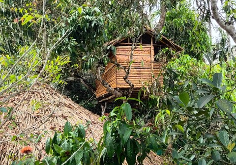 Tribal Wooden Cottage